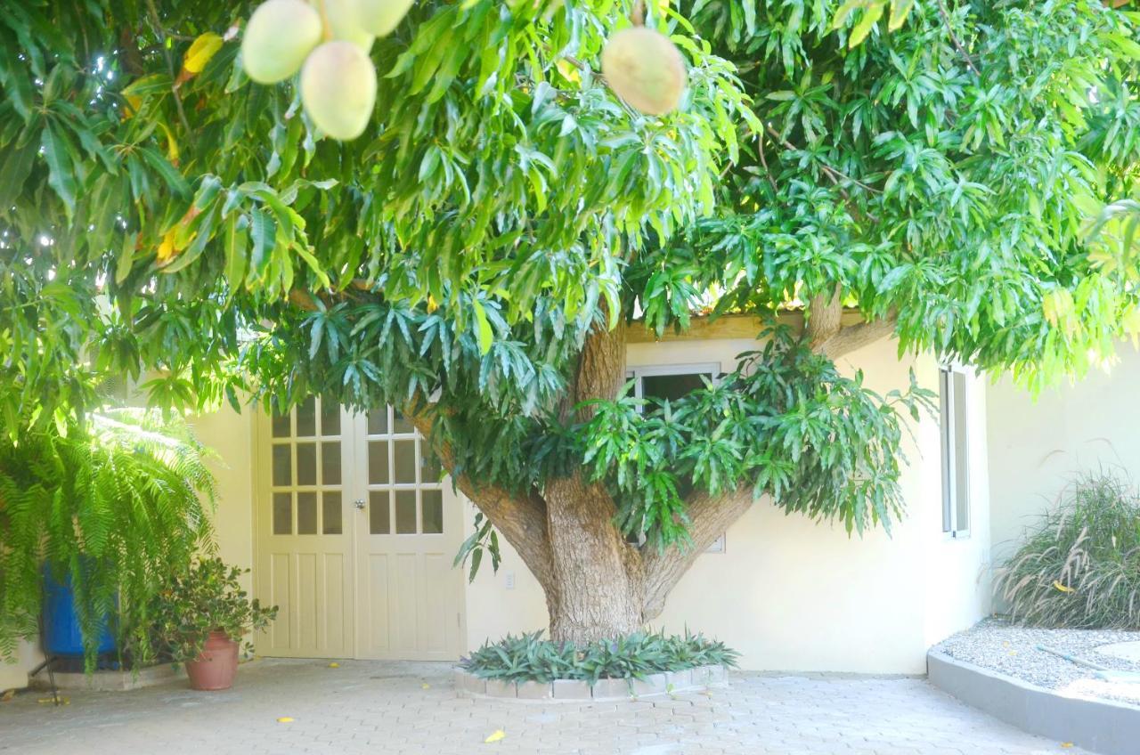 Homey Vacation And Carrental Willemstad Bagian luar foto