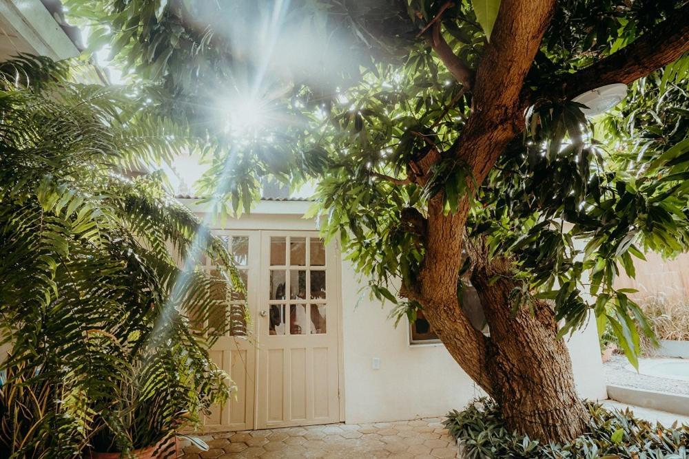 Homey Vacation And Carrental Willemstad Bagian luar foto